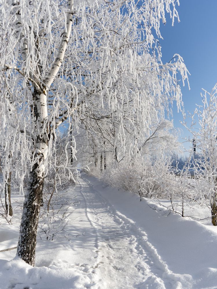 Photograph by Иван Мосьянов