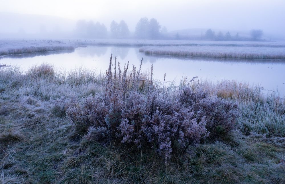 Photograph by Татьяна Юганова