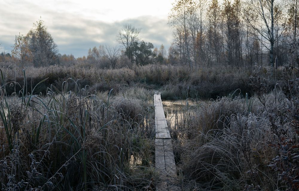 Photograph by Татьяна Юганова