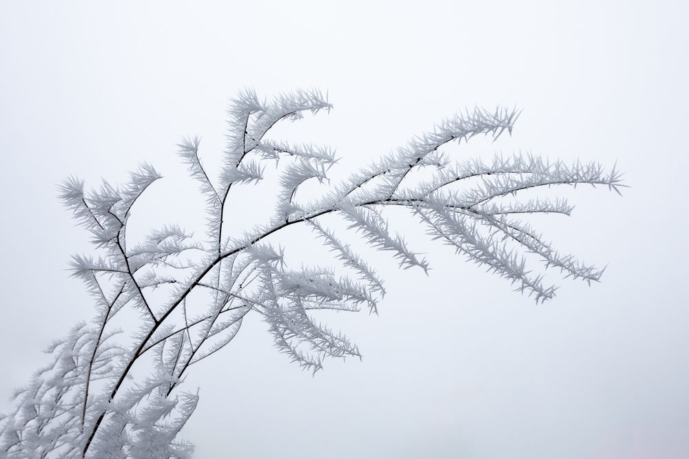 Photograph by Иван Мосьянов