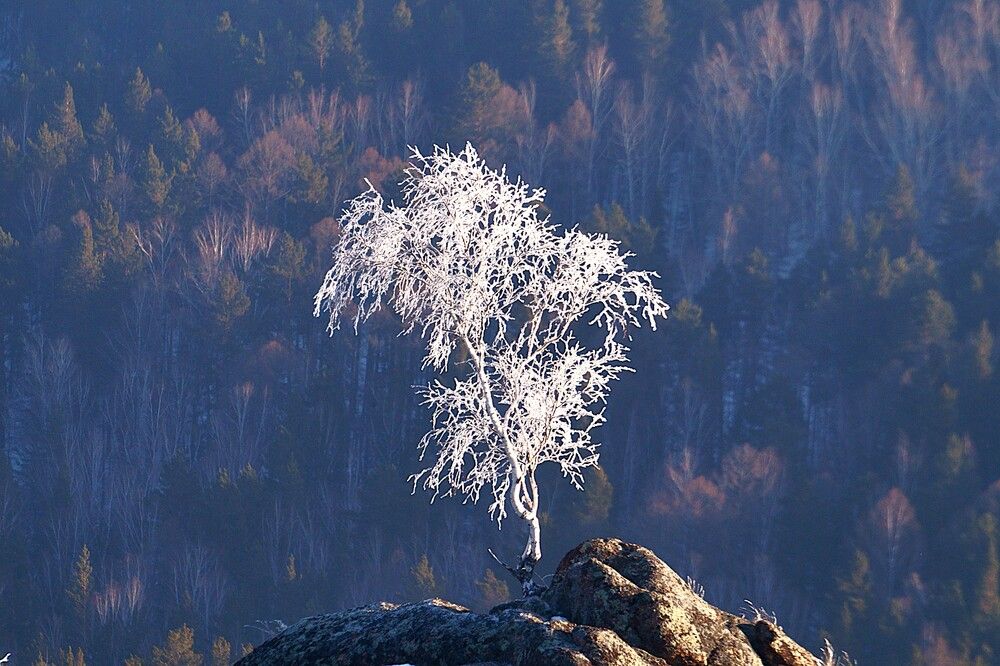 Photograph by Владимир Семиченко