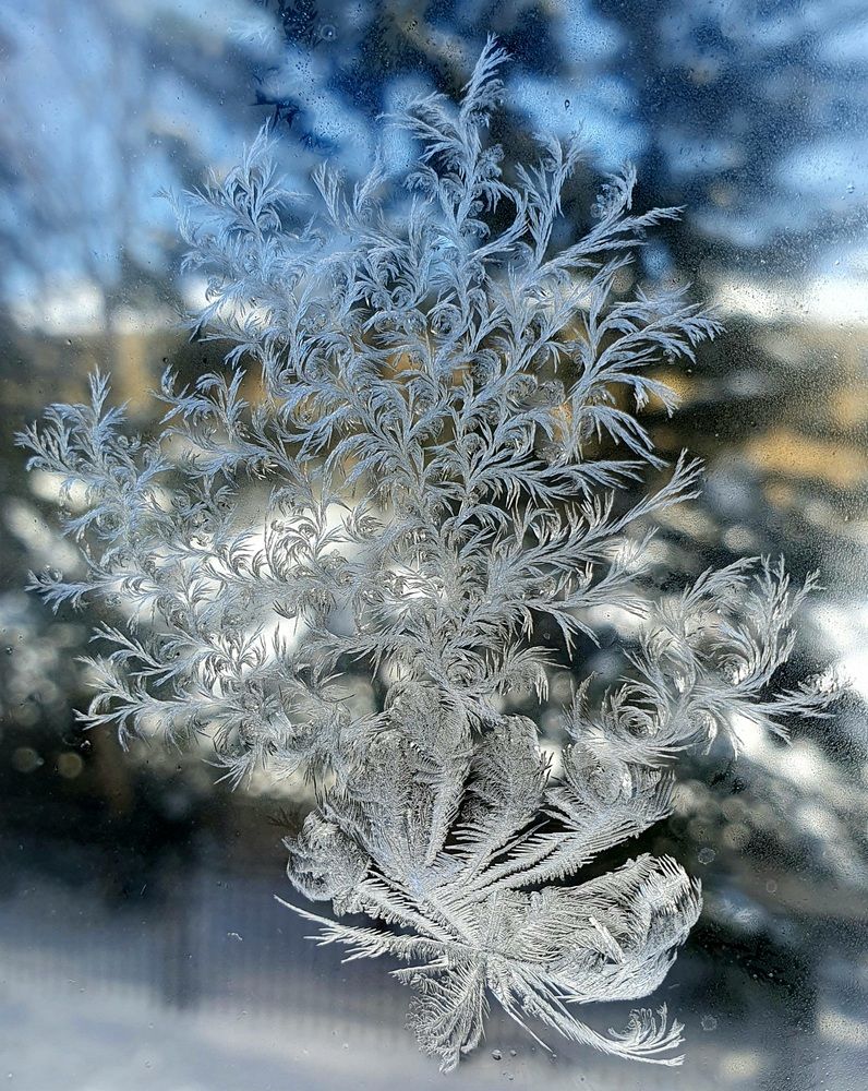 Photograph by Жанна Регор