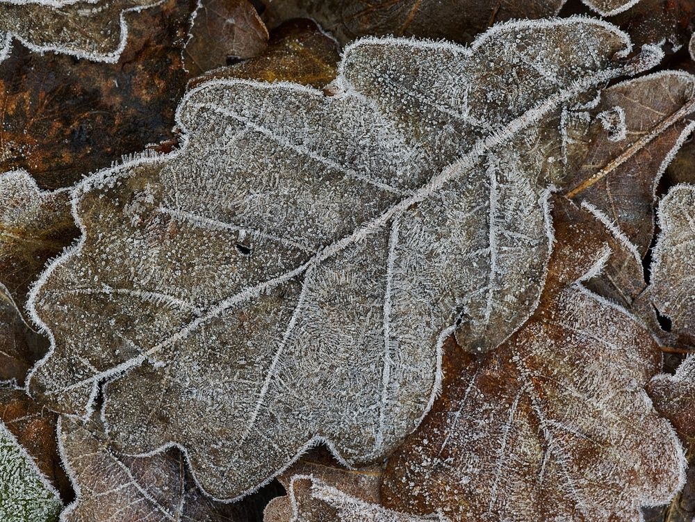 Photograph by Дьяченко Игорь