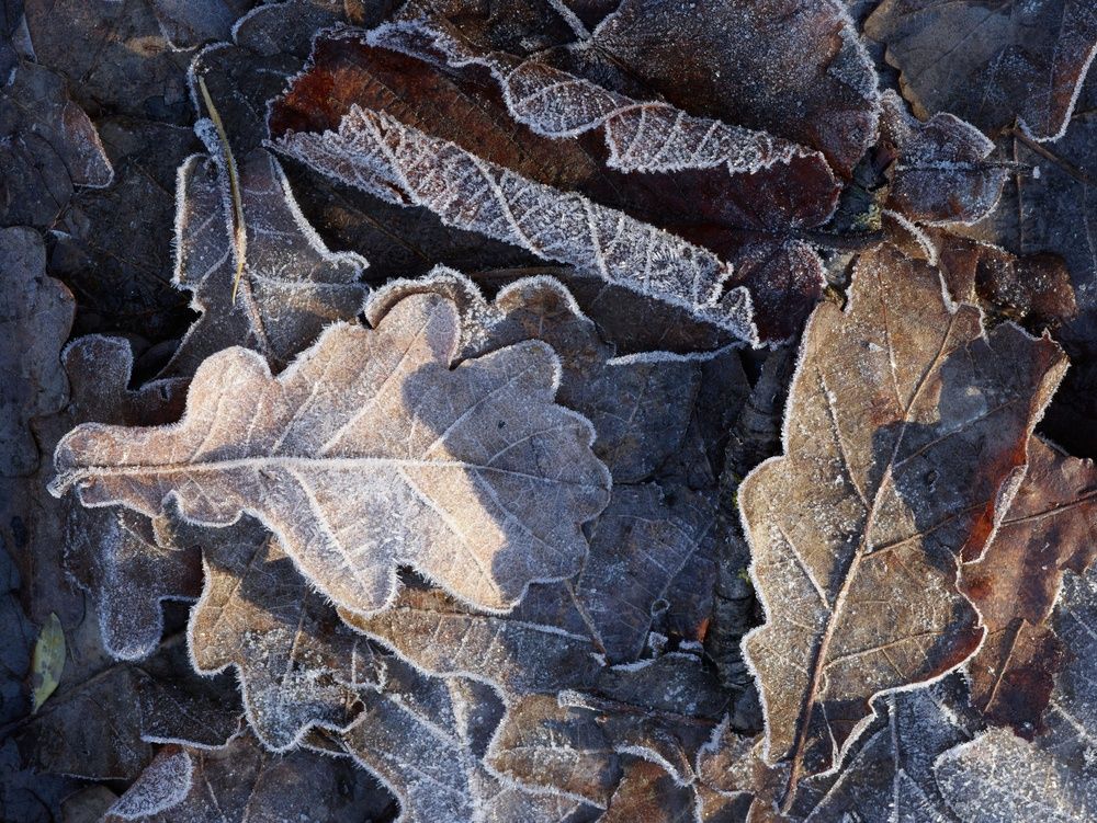 Photograph by Дьяченко Игорь