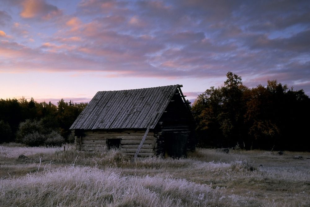 Photograph by Дьяченко Игорь