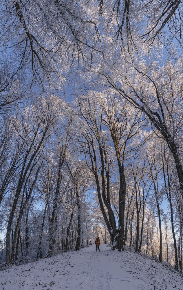 Под звон серебра
