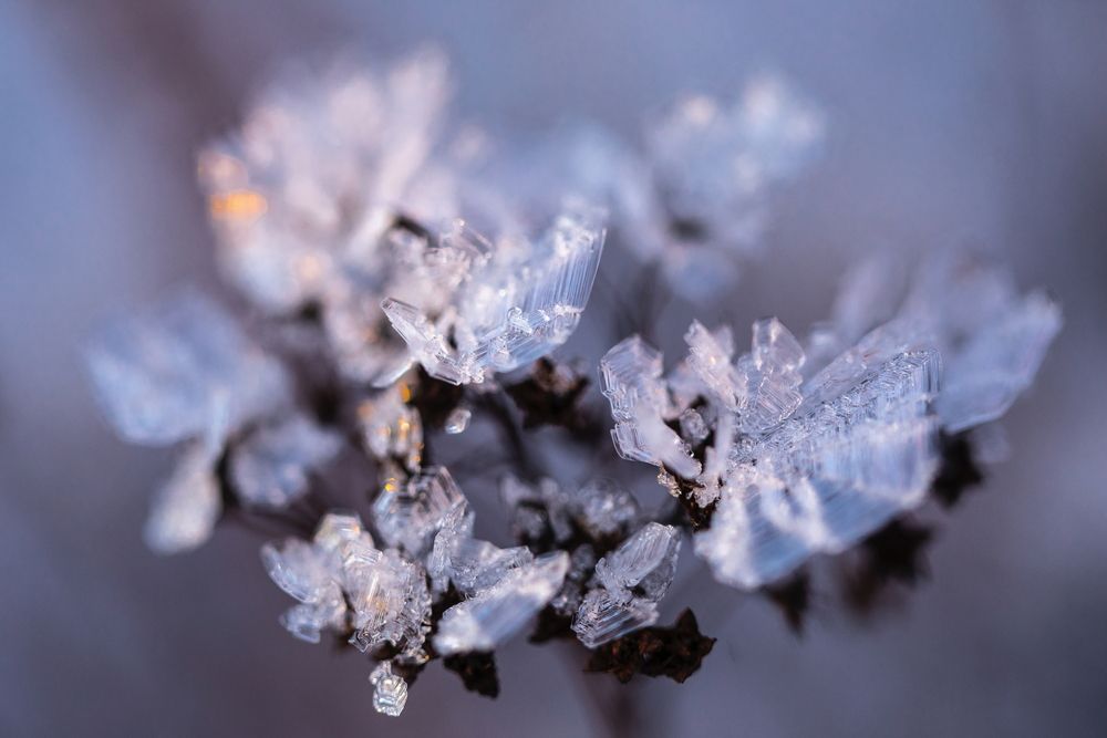 Photograph by Boris Konovalov