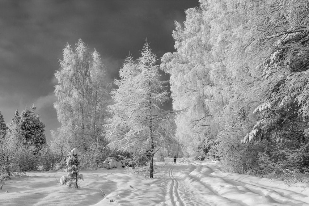 Photograph by Юрий Баженов