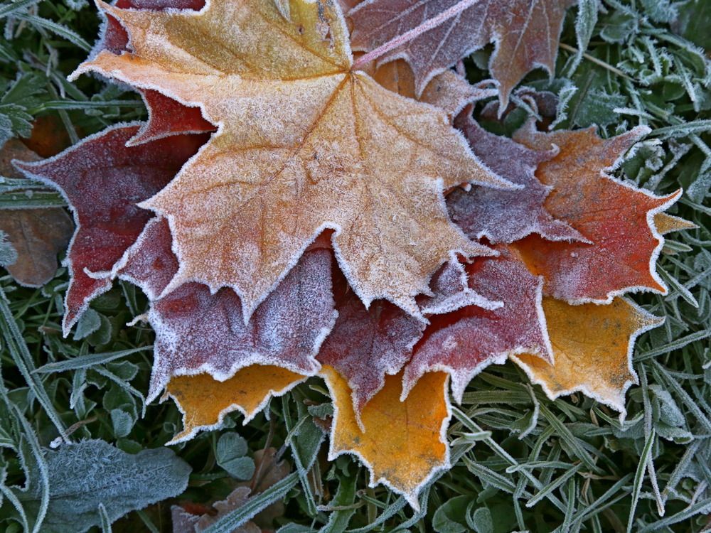 Photograph by Александр Кожевников