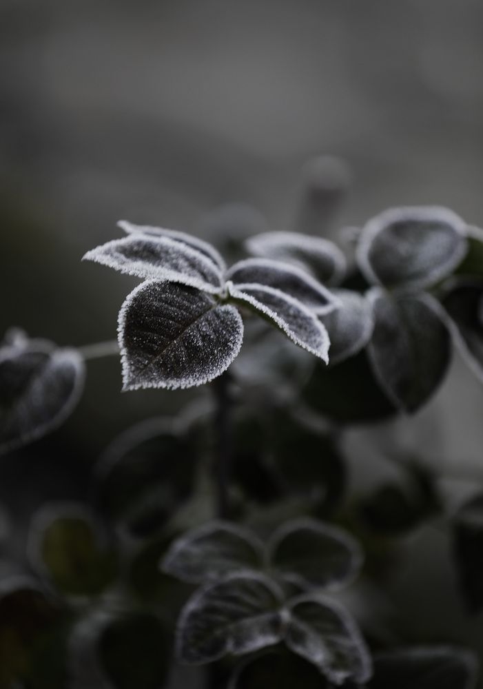 Photograph by Ирина Филиппова