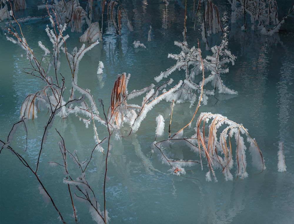 Photograph by Госпадарёв Александр