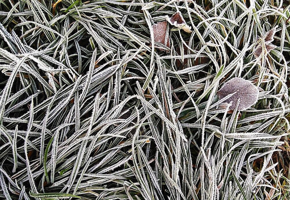 Photograph by Владимир Малёшин