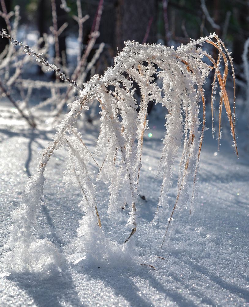 Photograph by Госпадарёв Александр