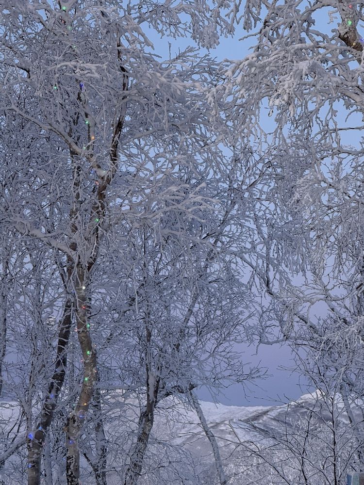 Photograph by Елена Меньшикова