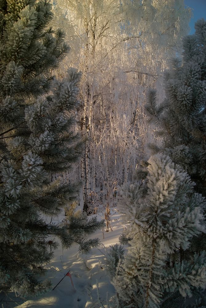 Photograph by Анна Панова