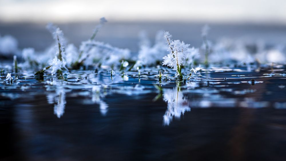 Photograph by Mark Devender