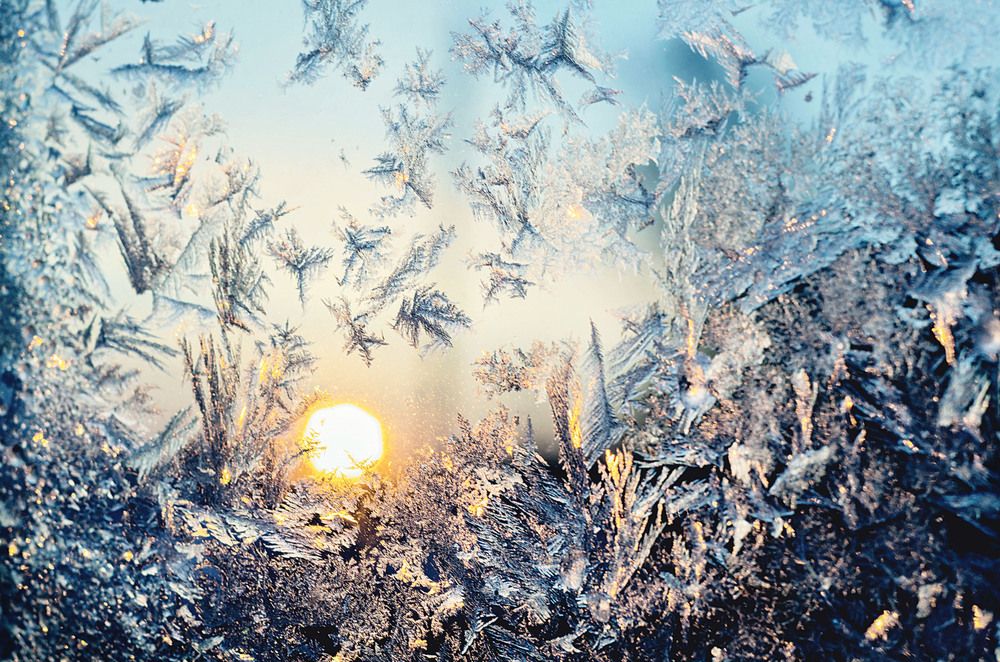 Photograph by Соколова Елена