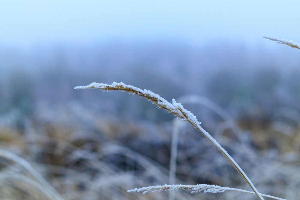 Photograph by Aamoda Kitchen