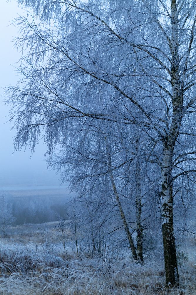 Photograph by Aamoda Kitchen