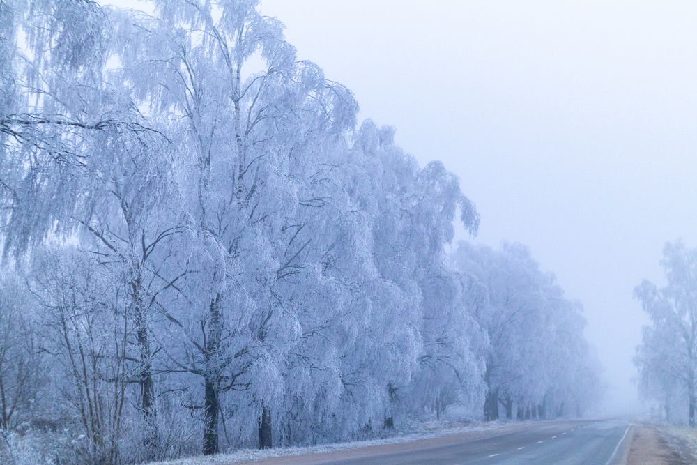 Photograph by Aamoda Kitchen