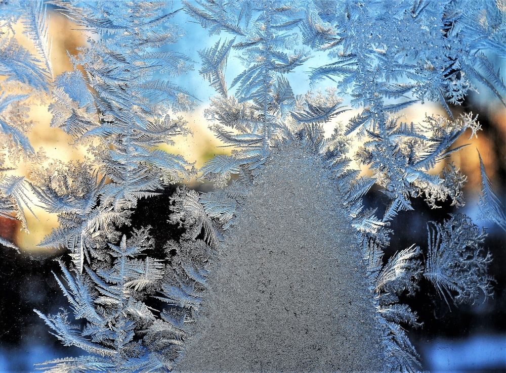 Мороз нарисовал на стекле