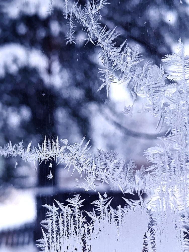 Морозные узоры
