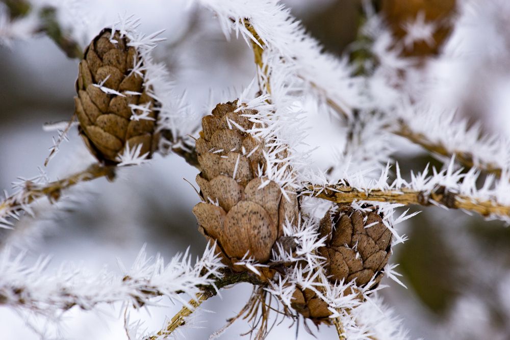 Photograph by Артур Павловский