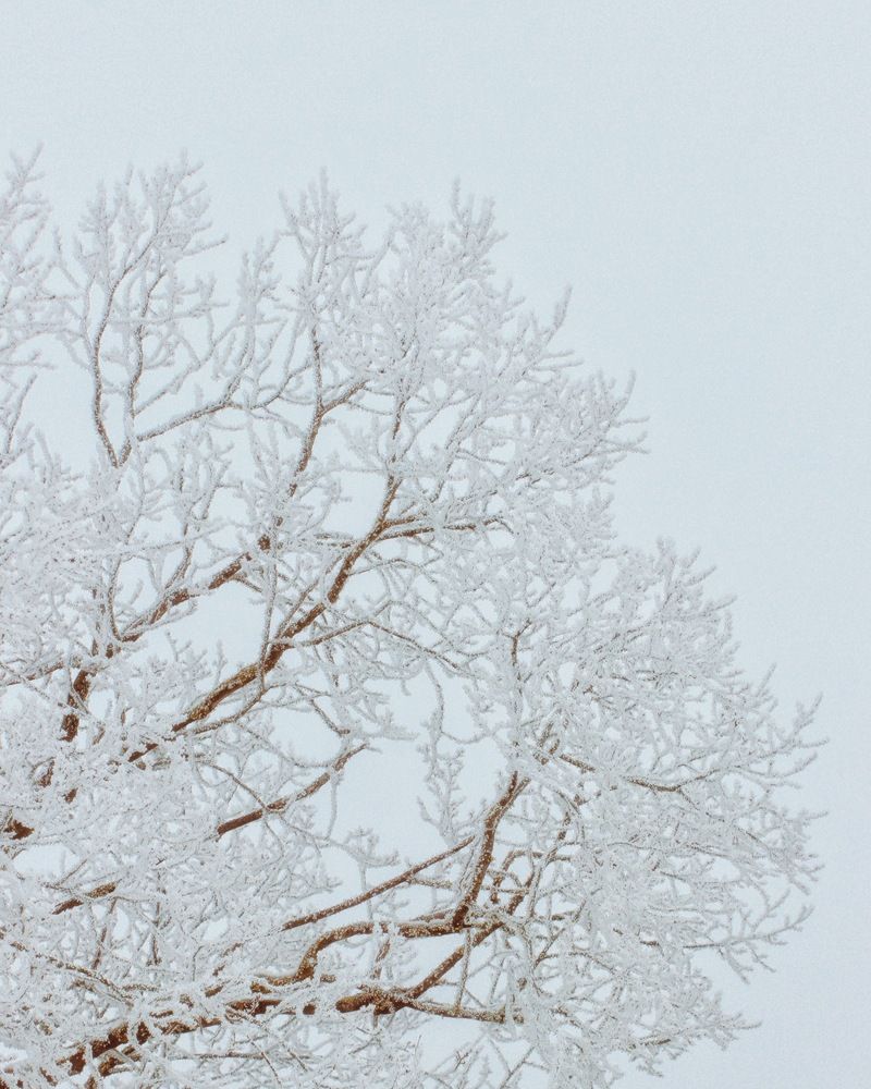 Photograph by Евгения Никишина