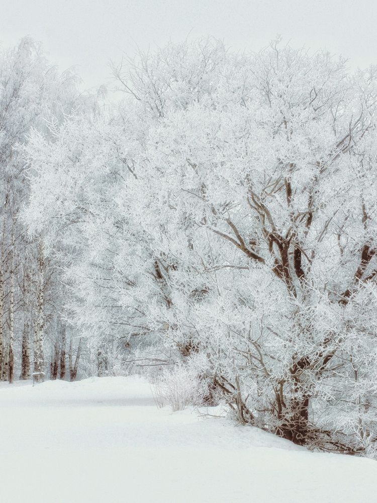 Photograph by Евгения Никишина