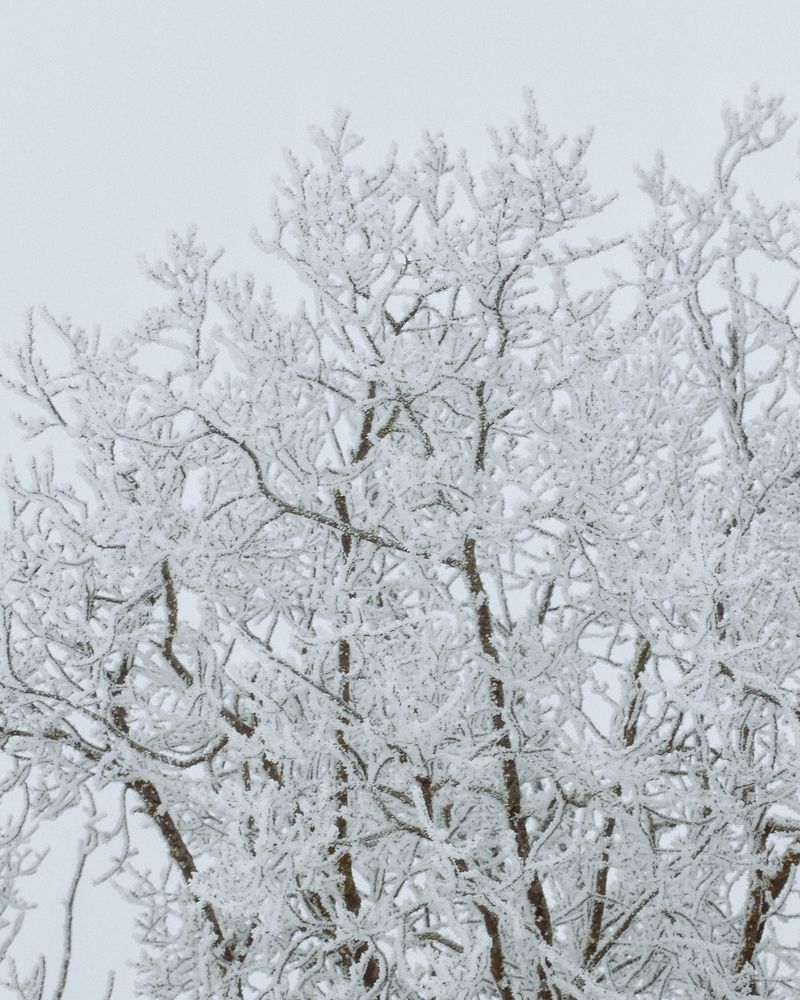 Photograph by Евгения Никишина