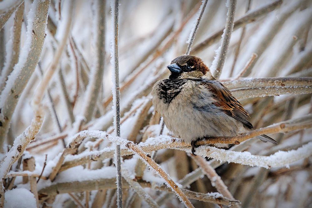 Photograph by Николай Владимирович