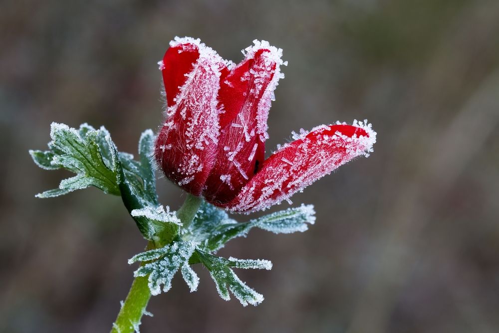 Photograph by Илан Грабоис