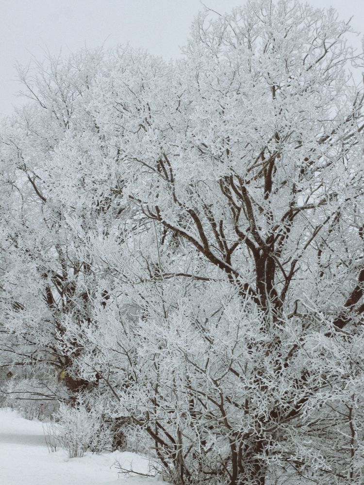 Photograph by Евгения Никишина