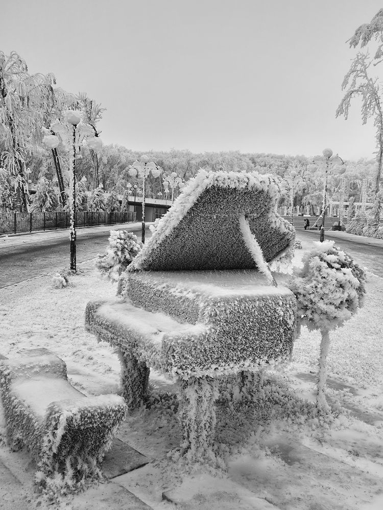 Photograph by Кривенко Владимир