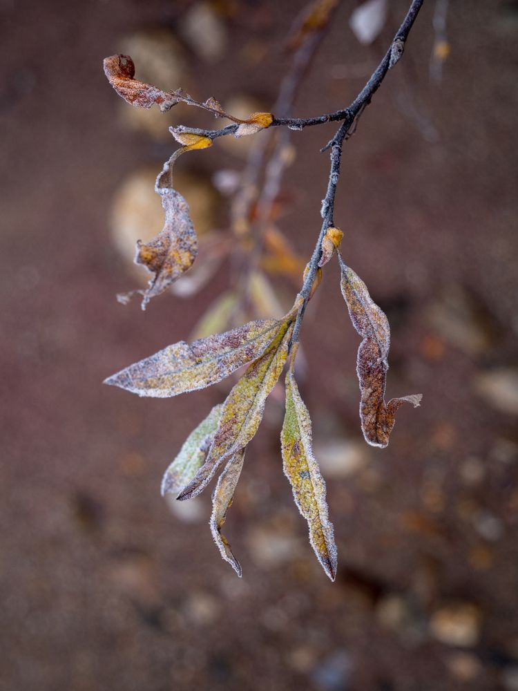 Photograph by Шейко Анна