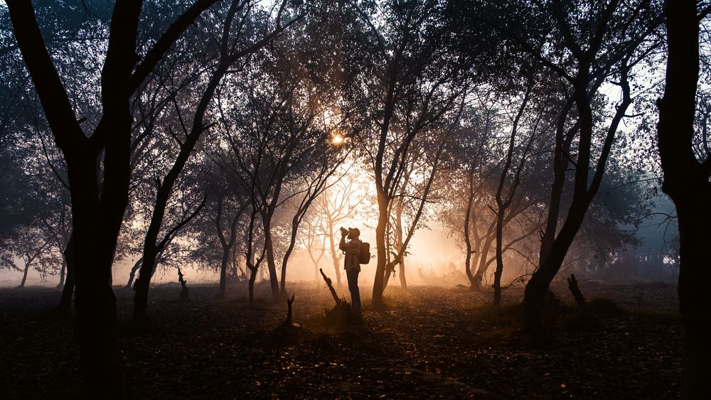 Photograph by Anuj Medhavi