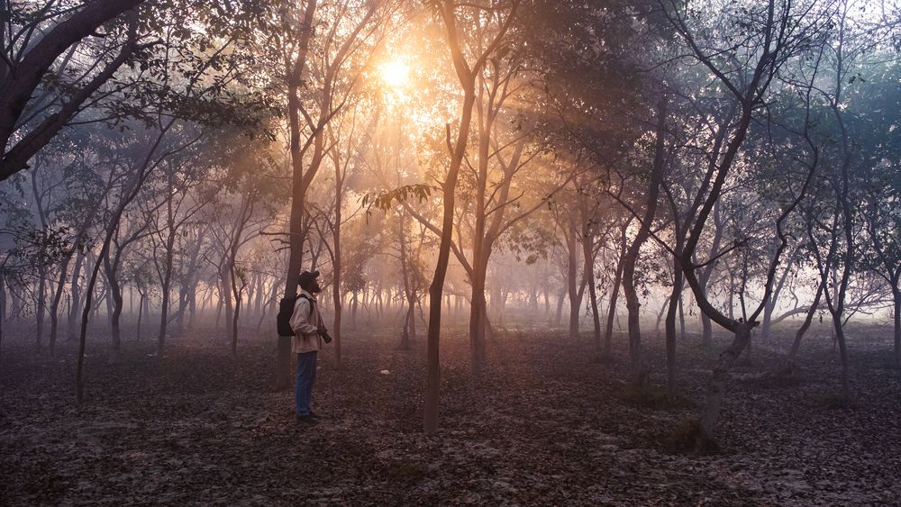 Photograph by Anuj Medhavi