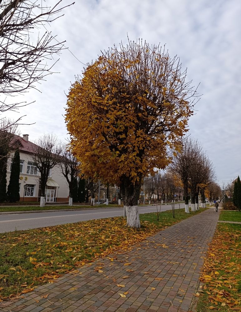 Фотография автора Екатерина Супраненок