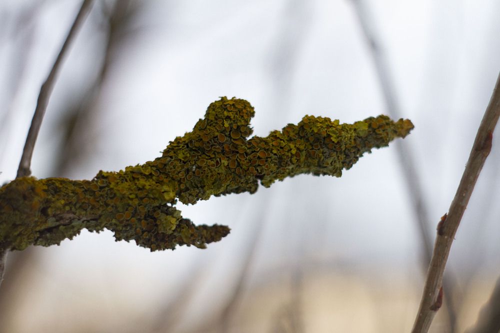 Photograph by Капанов Владислав