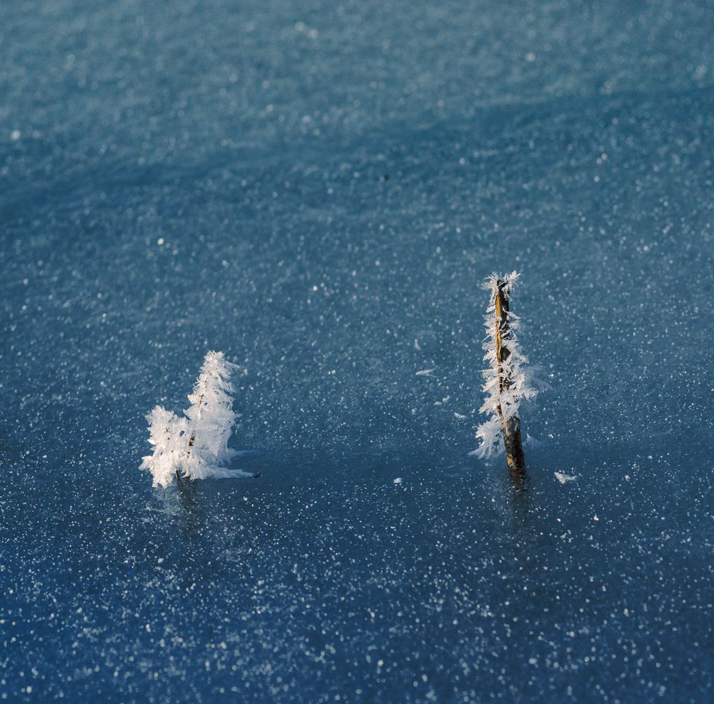 Фотография автора Mark Devender