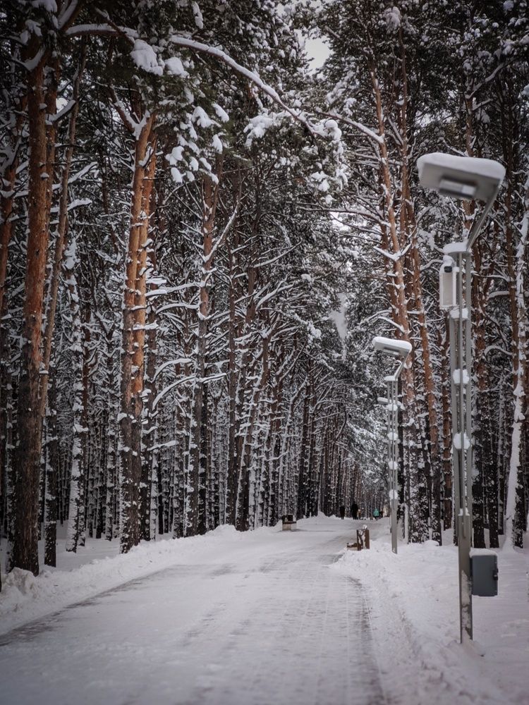 Photograph by Олега Тор