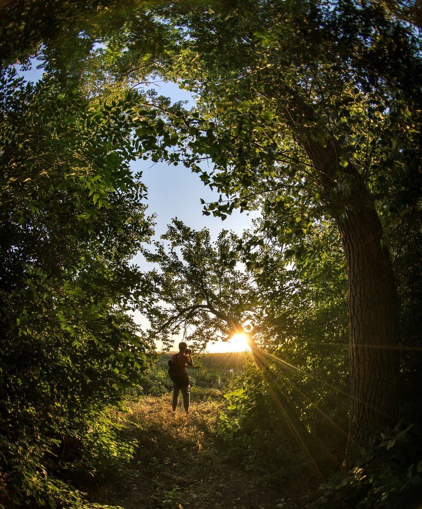 Выход на свет.