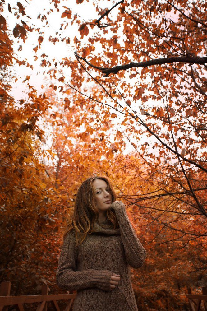 Красная Осень