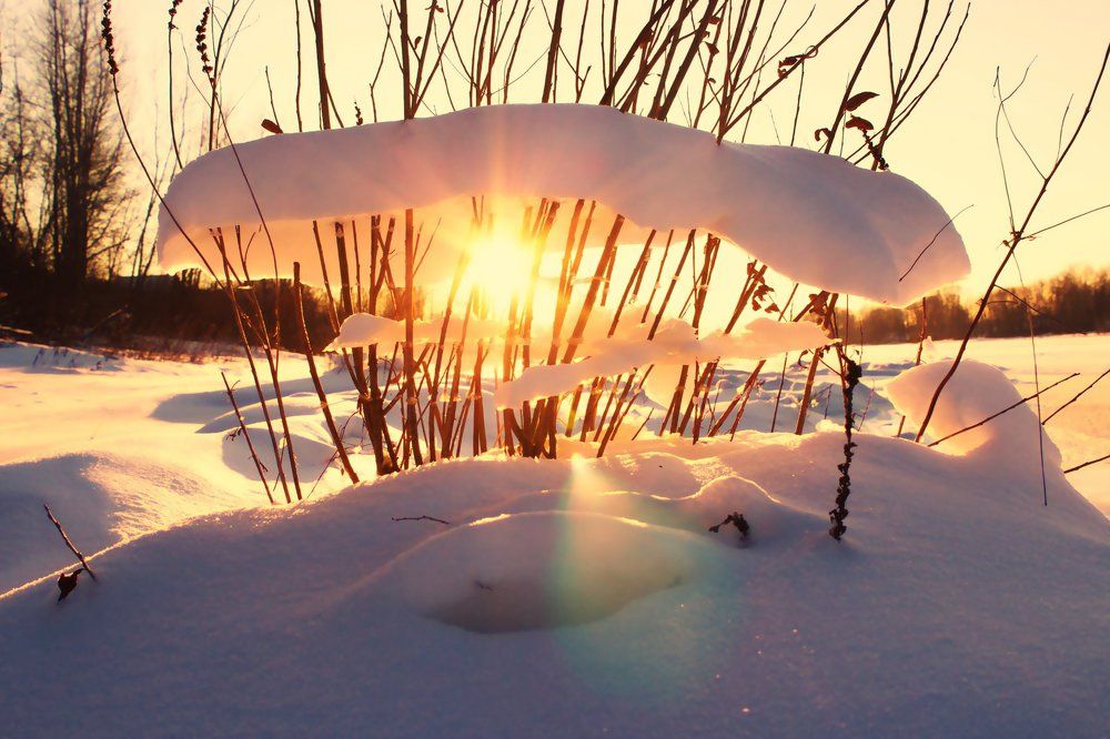 зимняя жемчужина