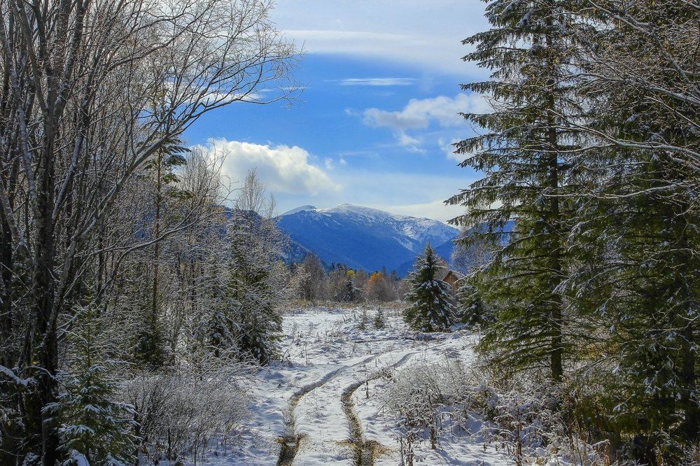 Солнесный день.