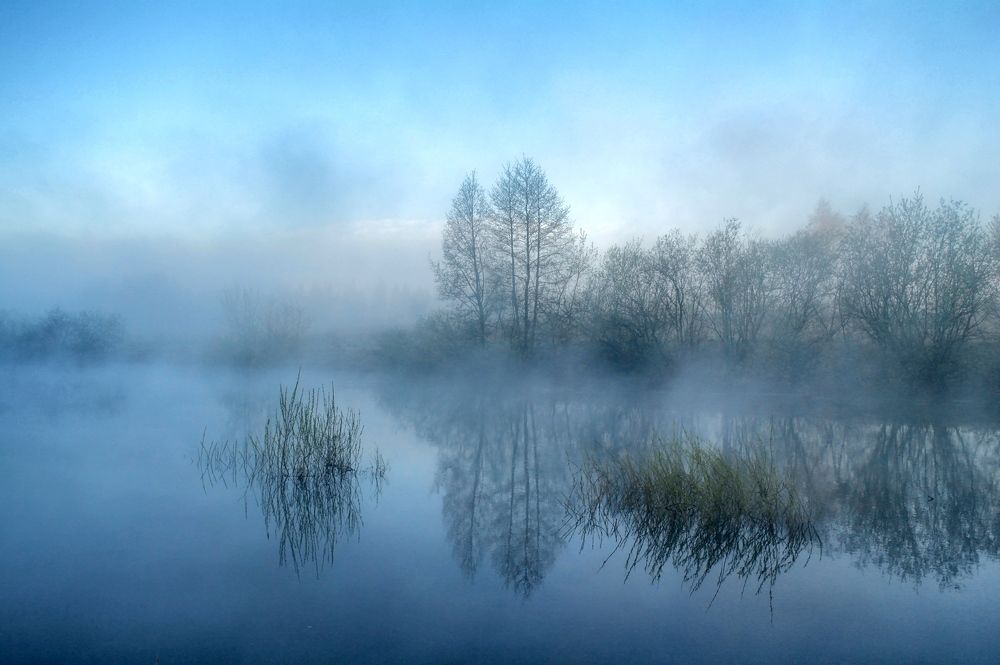 Туманность №727