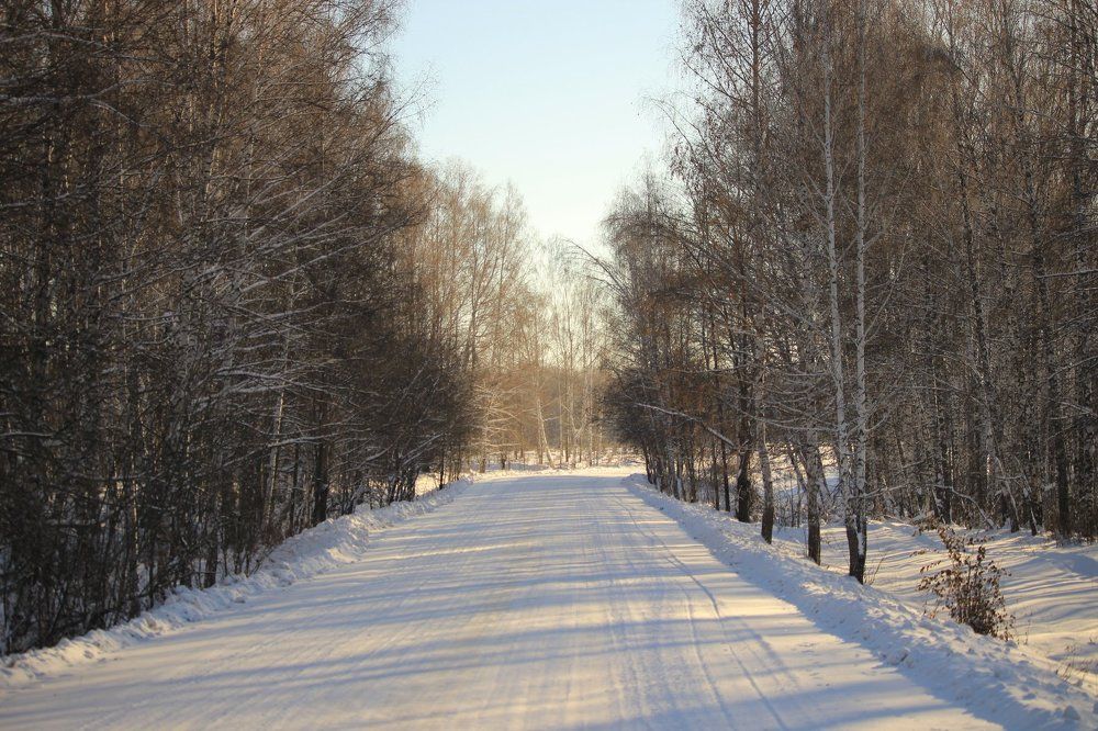 Зимняя дорога