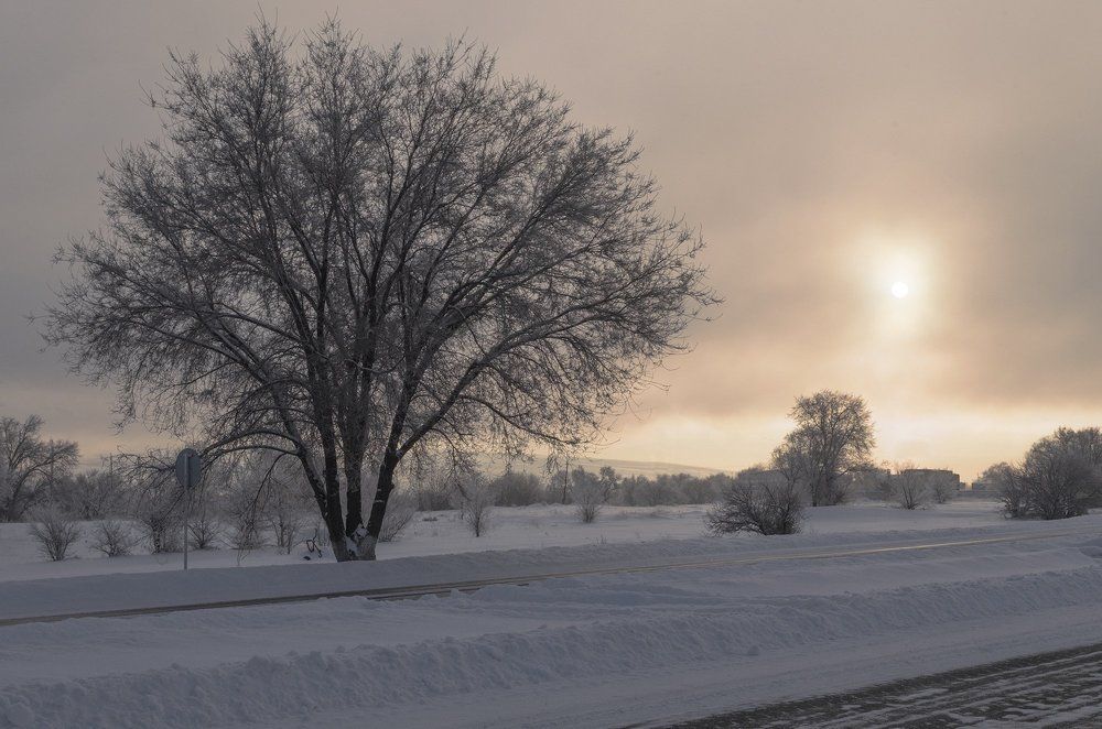 Январское солнце