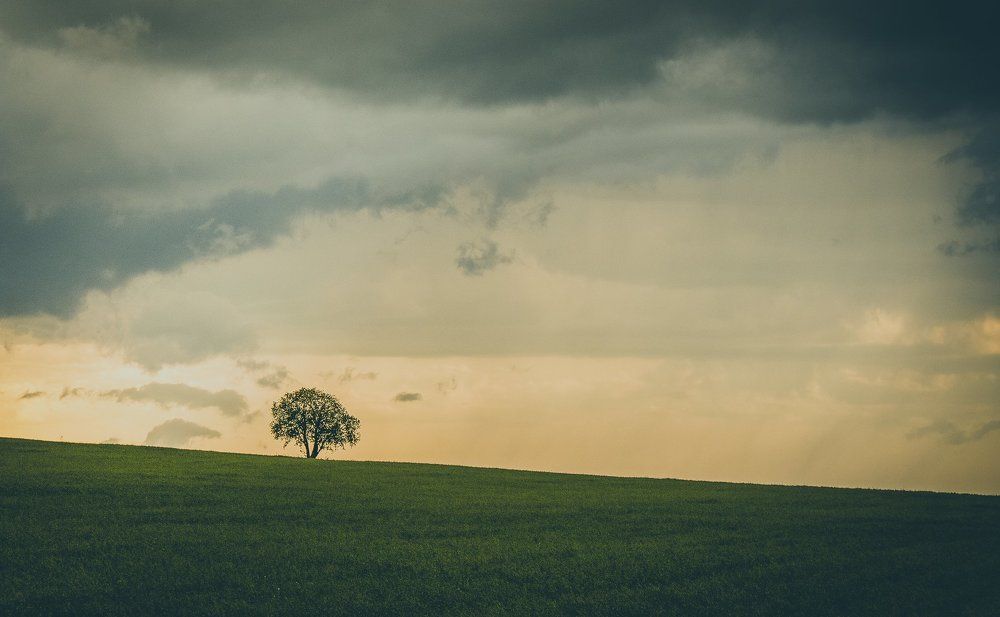 В ожидании грозы