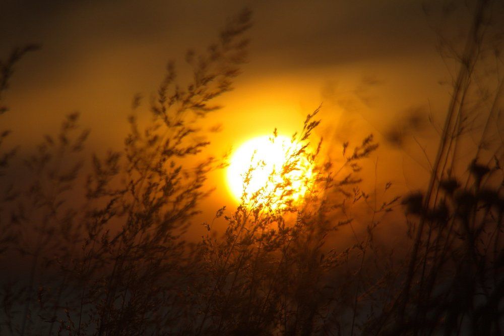 солнечный круг